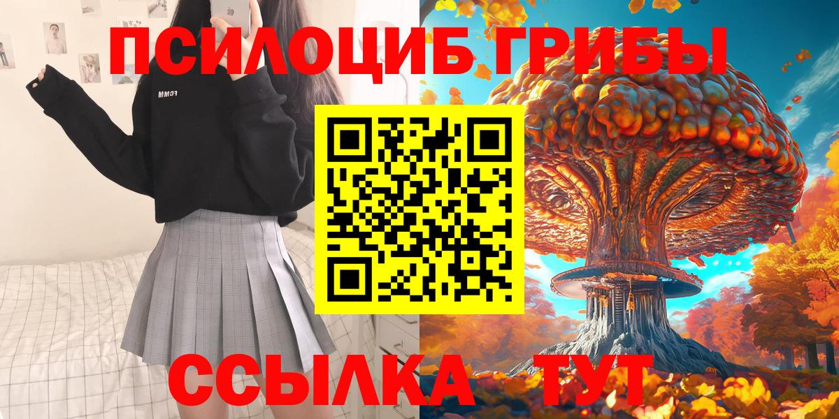 Псилоцибиновые грибы Psilocybe  Вход с VPN  Еманжелинск 