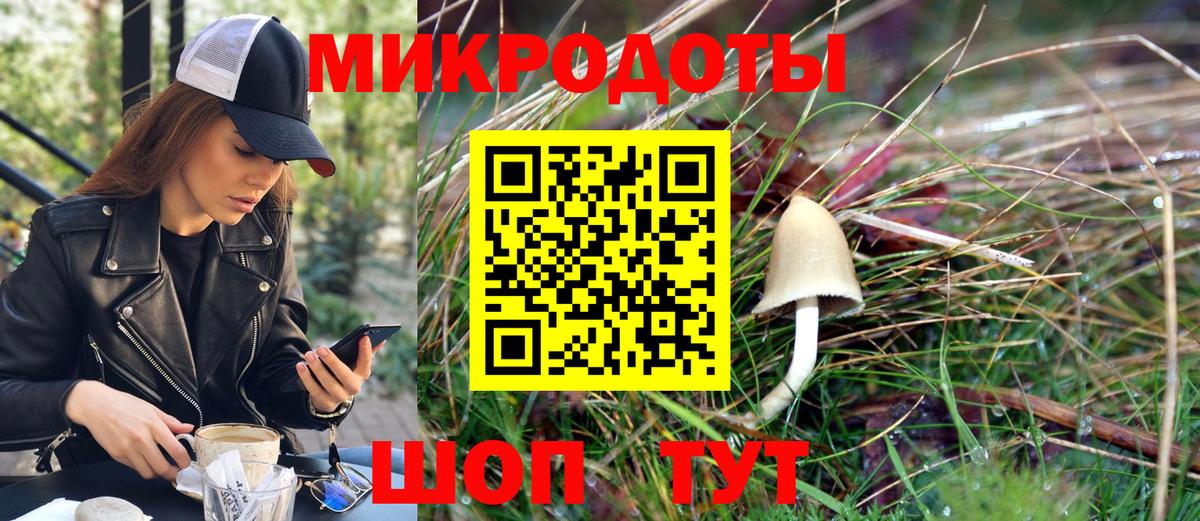 Псилоцибиновые грибы Psilocybine cubensis Еманжелинск